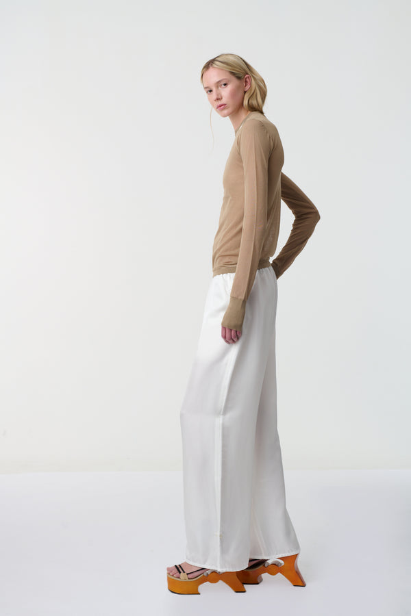 Dylan Sheer Nylon Long Sleeve Top Desert